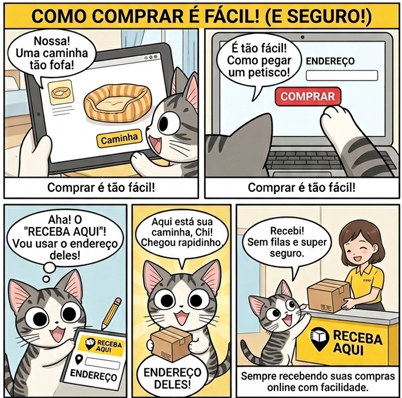 Guia passo a passo de como comprar e receber no nosso endereço